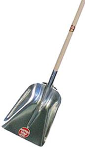 2159401.jpg