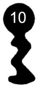 2171861_2.jpg
