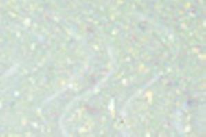 2185661_2.jpg