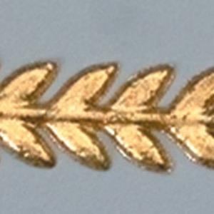 2189078.jpg